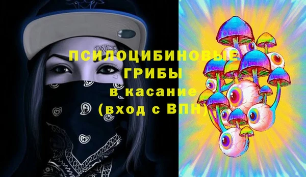ешки Аркадак