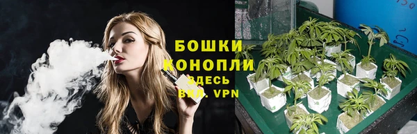 ешки Аркадак