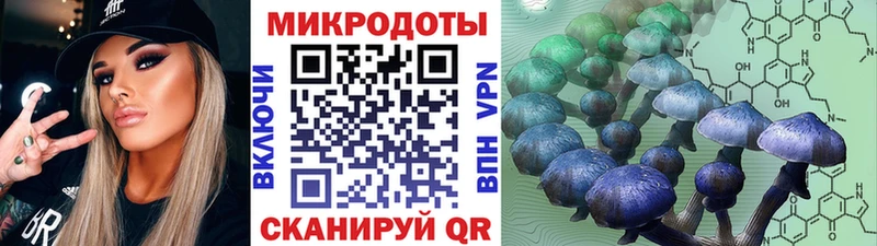 Псилоцибиновые грибы ЛСД  Купить закладки  Починок 