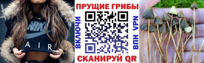 Галлюциногенные грибы мицелий Починок